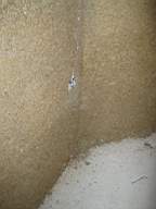 tullahemp 2300.jpg